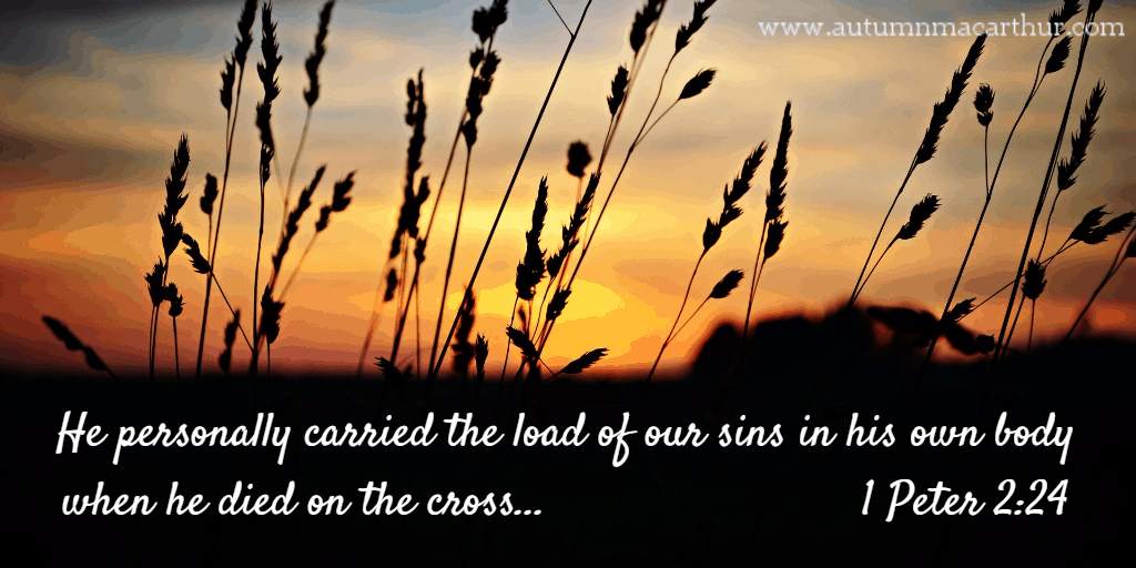 Image of sunset with Bible verse 1 Peter 2:24- "Her carried our sins..." from inspirational romance author Autumn Macarthur