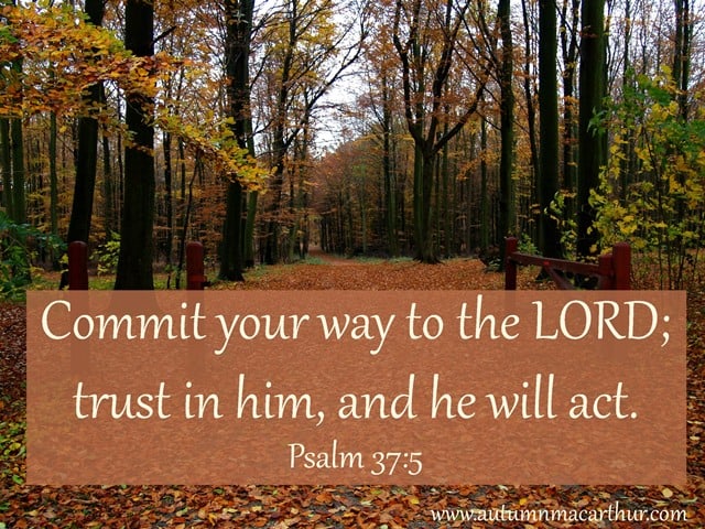 Image of woods, with Bible verse "Commit your way to the LORD, trust in Him, and He will act" Psalm 37:5, by Christian romance author Autumn Macarthur