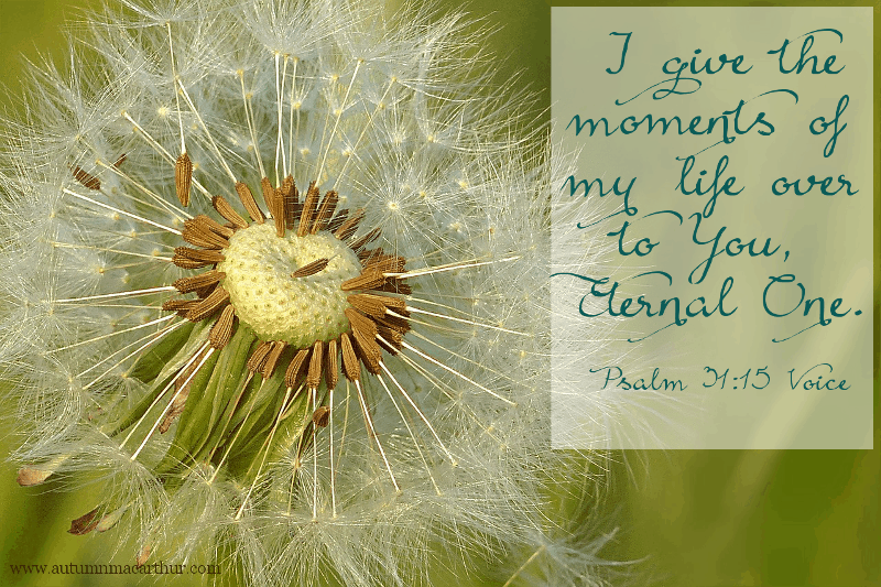 Image of dandelion with Bible verse Psalm 31:15, from inspirational romance author Autumn Macarthur