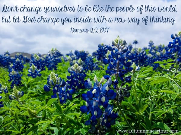 Image of blue flowers with Bible verse Romans 12:2, from inspirational romance author Autumn Macarthur
