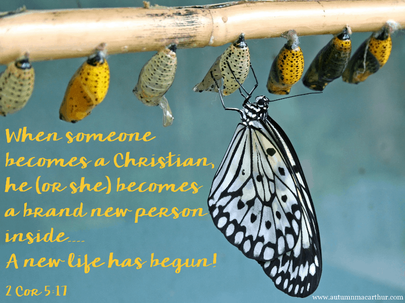 Image of newly emerged butterfly, with Bible verse 2 Cor 5:17, from inspirational romance author Autumn Macarthur