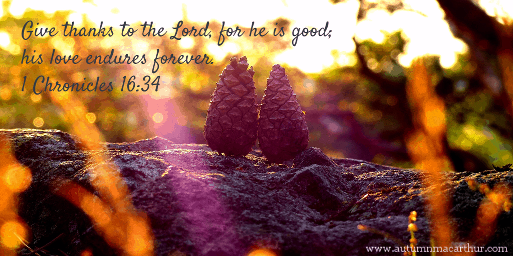 Autumn image with pine cones, and Bible Verse "Give thanks to the Lord for He is good," from inspirational romance author Autumn Macarthur