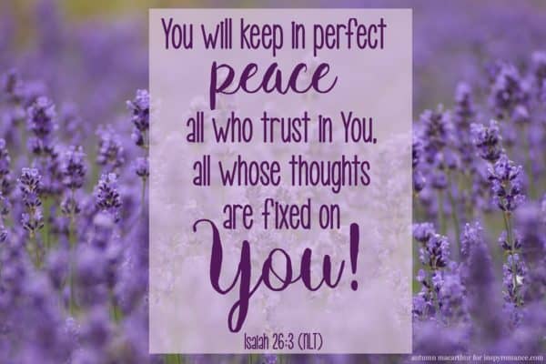 Image of lavender with Bible verse Isaiah 26:3 "You will keep in perfect peace all who trust in you, all whose thoughts are fixed on you!" By Autumn Macarthur for Inspy Romance